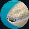 eeeeeeeeeeeeeeeeeeee154