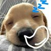 zaydan__0