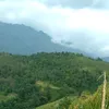 mui.mui3729