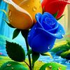 arshadullahkhan08