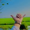 Natural video