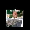 mohamed.a841