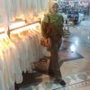 puput.2420