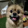 m_aya1313