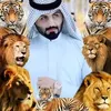 abuomaraldulai811