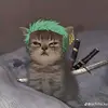 sieuuytin0