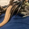 the_dino_figs