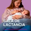 lactanciaferialiber