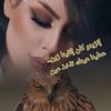 san..halibay.com