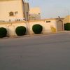 im.mara86