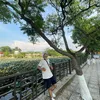 thanh.ip161