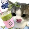 waaf_cimoyyy