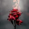 catherine.lallema