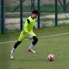 nicolas_lombardi_1