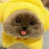 TheCatto