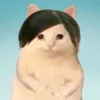 chamankcte