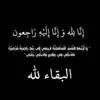 user4230213319122