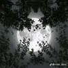 userqa116