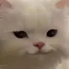 n_n_min