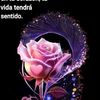 rosi.gutierrez.go