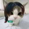 iammaew_mwng12