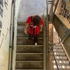 mlo_702