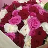 saadsod25