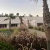 fatimazohra6780