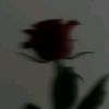 abc._.910