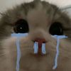 fluffylerb