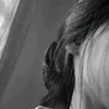 s1010.s
