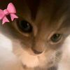 ms_blaauw
