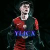ylicx_370