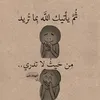 alma.ilinn.amira