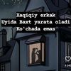 dilim_.00