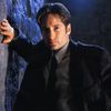 foxmulder382