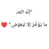 dina.khalid683