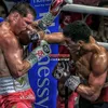 Kamogawa Boxing 🥊
