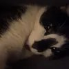 rubymcleod