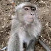 jhon_6038