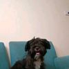 _adri_carly