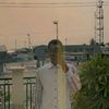 david._nk