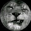 user7690245404473