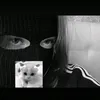 bulawskiy