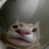 blobthealien