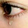 bahar_gholami13