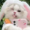 meowthichnhac