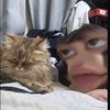 songminbaekk