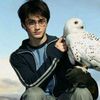 pacarnya_harry_potter