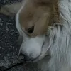 ayoayoayoo7